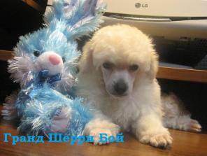 ����� ����������� ������ ����� �������