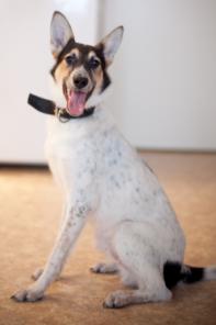 ��������� ����� ����� � ������� ���������!