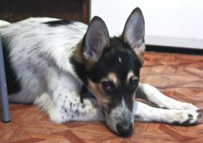 ��������� ����� ����� � ������� ���������!