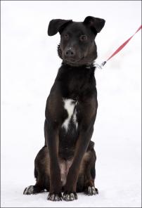 ����� ���������, ����� ������ 5 ���!