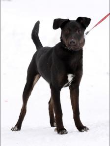 ����� ���������, ����� ������ 5 ���!