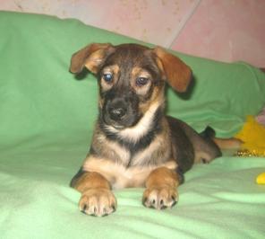 ��������� ������� �������, ����� 2,5 ���!