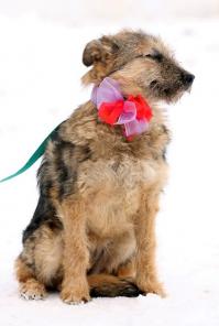 �������� �������� ����, �������� �������!