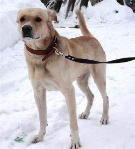 ����� - ����� �������� ��������� � ���.