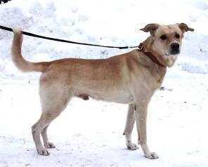 ����� - ����� �������� ��������� � ���.