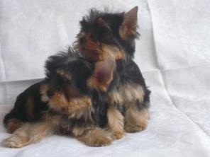 ����������� ������ - ����� - �������� � ������� !