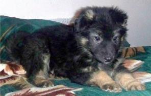 �����-���������� 3 ���. � ���