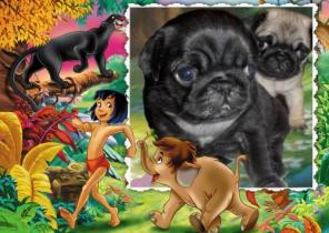 ���� ����� ������� ������, �����