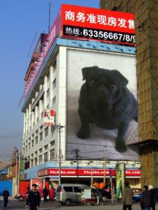 ���� ����� ������� ������, �����