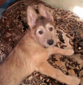 ����� ��������� �������� 3 ��������� �����.