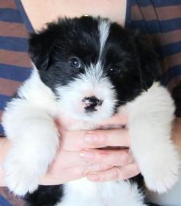 ����� ������ � ������ ����