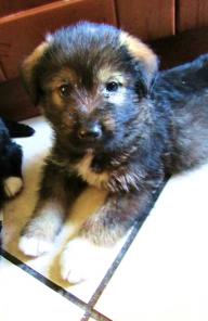 ����� ������ � ������ ����