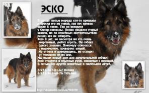 ��������� �������� ���� ������� � ���.