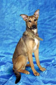 �������� ����� ���� ���� ������� �������!