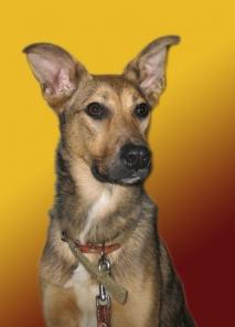 �������� ����� ���� ���� ������� �������!