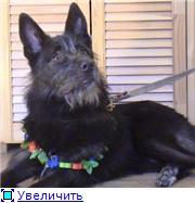 ���-�������, �� �� �����. ������ ���� ���.