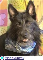 ���-�������, �� �� �����. ������ ���� ���.