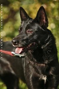 ���-��� ������ � ��������� ����.