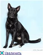 ���-��� ������ � ��������� ����.