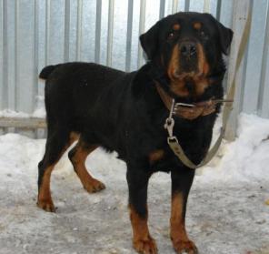 ��������� ����� ���� ���