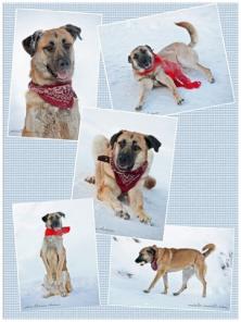 ��������-��� ���� ��� � �������