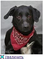 ������������ � ����������� ������ ���� ��� � ������