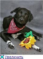 ������������ � ����������� ������ ���� ��� � ������