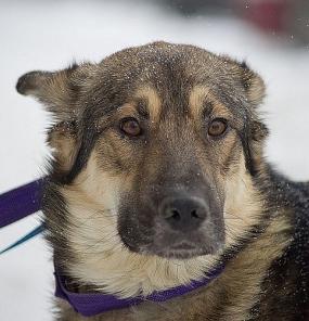 ��������� � �������� �������� � �������� ���������� ���� ������� � ���