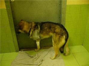 ��������� � �������� �������� � �������� ���������� ���� ������� � ���