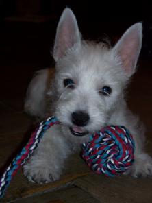 ����� ���� ������� ���� �������