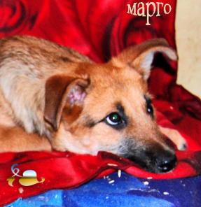 �������� �� ���������