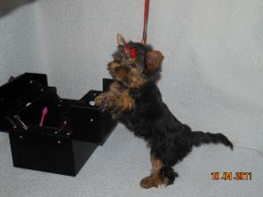 ����� �����