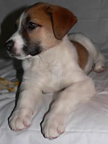 �������� �������� ���� �����!