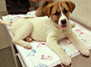 �������� �������� ���� �����!