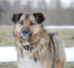 ����, ������ ��� ���� � ������.