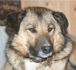 ����, ������ ��� ���� � ������.