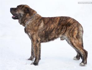 ������� ��������-������ ���������� ������� � ���!