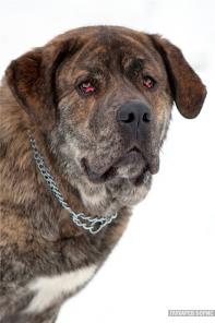 ������� ��������-������ ���������� ������� � ���!