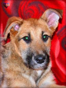 �������� �� �������