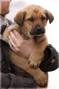 ����� ��������� ����������!