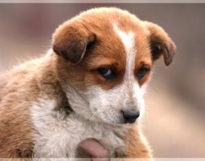 �������� ������ ���� ���������!