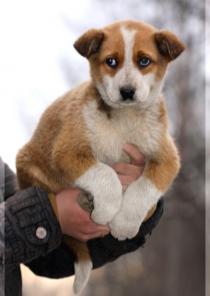 �������� ������ ���� ���������!