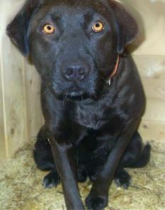 ������� ����� ��������� � ���!