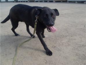 ������� ����� ��������� � ���!