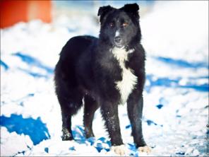 �������� ��� ������ ���� ������!