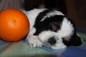 ����� ������������� ����� ��������.