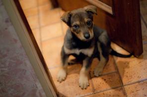 ������ ������ - ��������� � ��� !