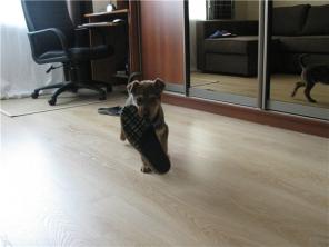 ������ ������ - ��������� � ��� !