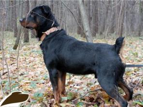 ��������� ������ � ������ ����