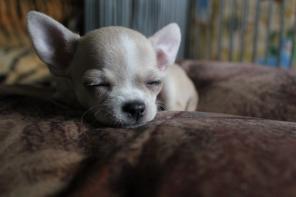 ��������  �������� ������ ���������� ������ ������������ �������